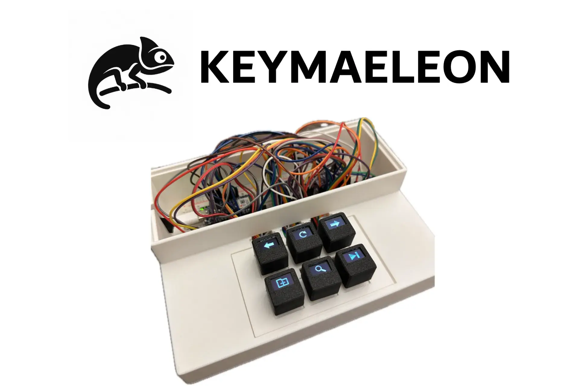 Keymaeleon
